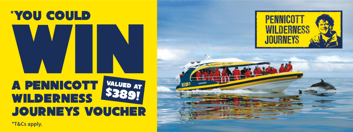Promotion to Win with image of a boat and dolphins